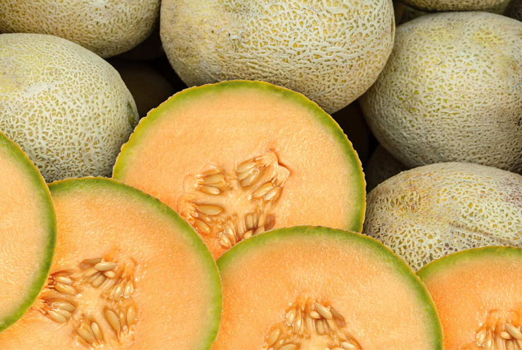 Ambrosia Cantaloupe 1 特别美味的食物哈密瓜