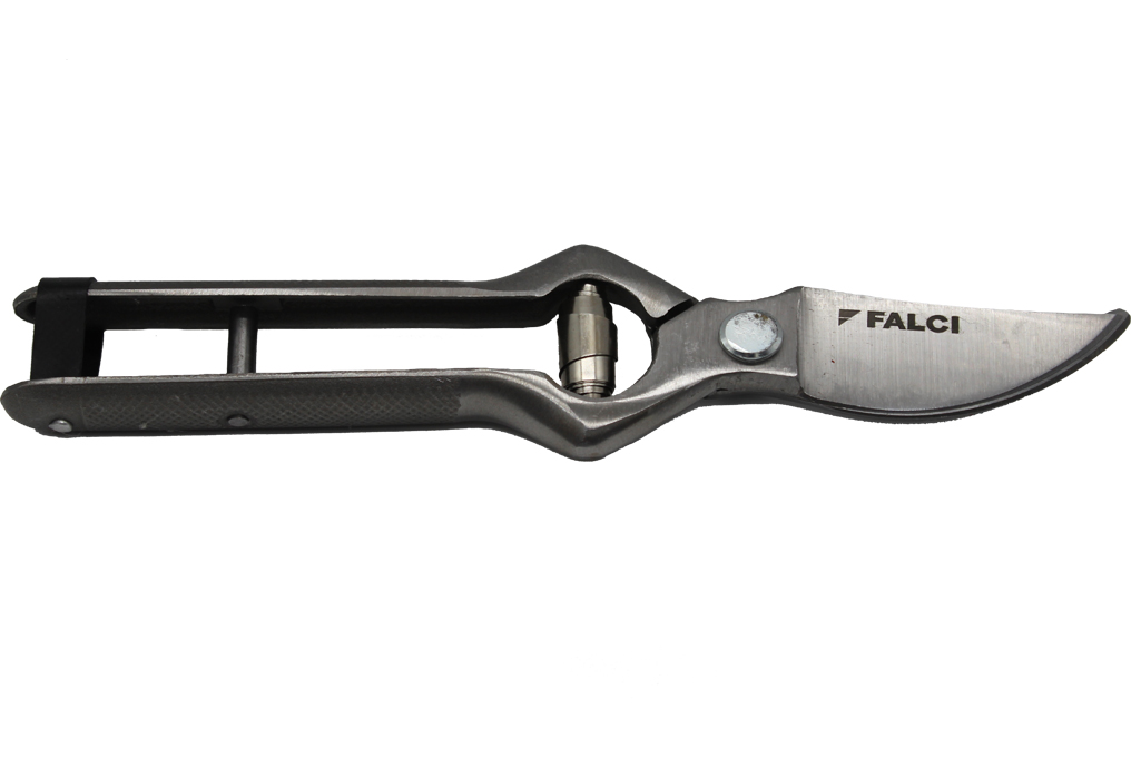 Pruning Shears 1 修剪剪刀