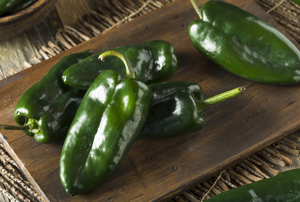 Tiburon Poblano Pepper 1 位于蒂波布拉诺椒辣椒呈深绿色
