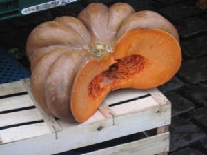 The Fairytale Pumpkin