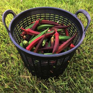 tubtrug colander