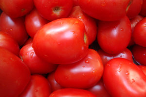 阿米什粘贴番茄