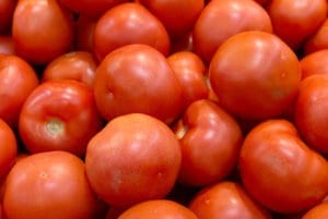 阿肯色州旅行者番茄