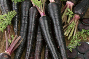 黑色星云胡萝卜