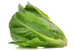 Brave Heart Romaine Lettuce