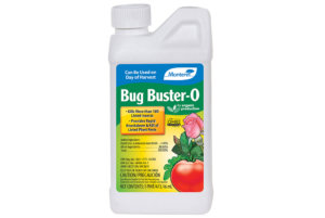 Bug Buster O.