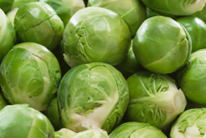 Catskill Brussels Sprouts.