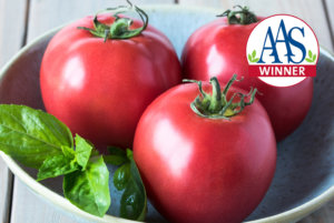 厨师的选择粉红番茄