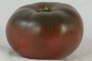 切罗基紫番茄