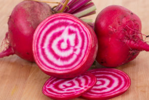 Chioggia甜菜