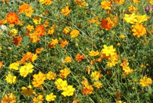 宇宙明亮的灯光混合