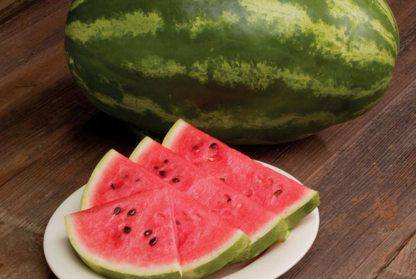 Dulce Fantasia watermelon.