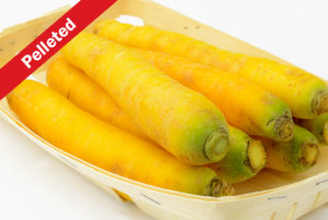 金块胡萝卜（颗粒）