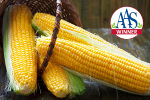 蜂蜜选择甜玉米