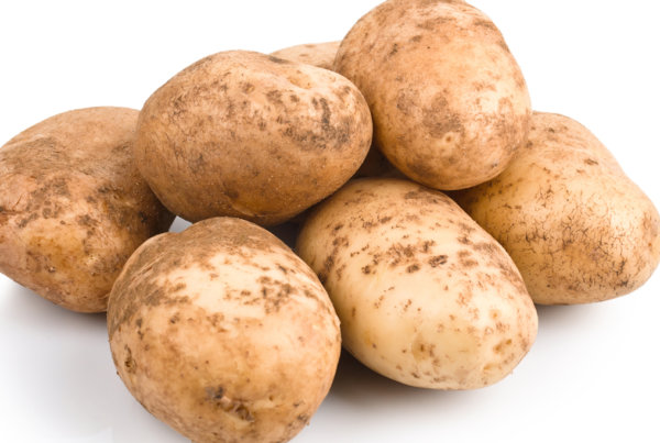 Kennebec白色土豆