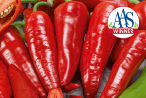 妈妈米娅·罗索·胡椒