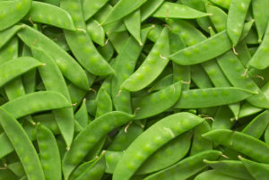 俄勒冈糖豆荚