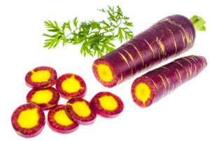 紫色精英胡萝卜