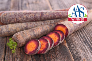 紫色的薄雾胡萝卜