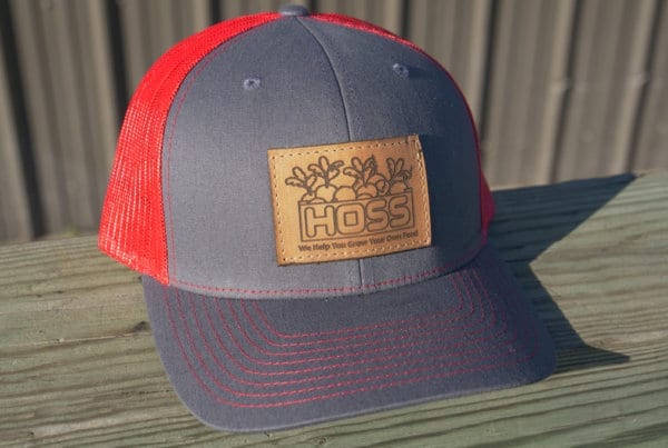 霍斯的帽子