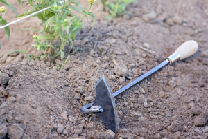 小蝙蝠翼战斗机锄