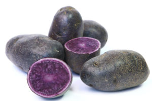 紫色的威严土豆