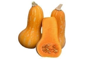 秋天金胡桃南瓜