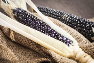 俄亥俄州蓝色玉米