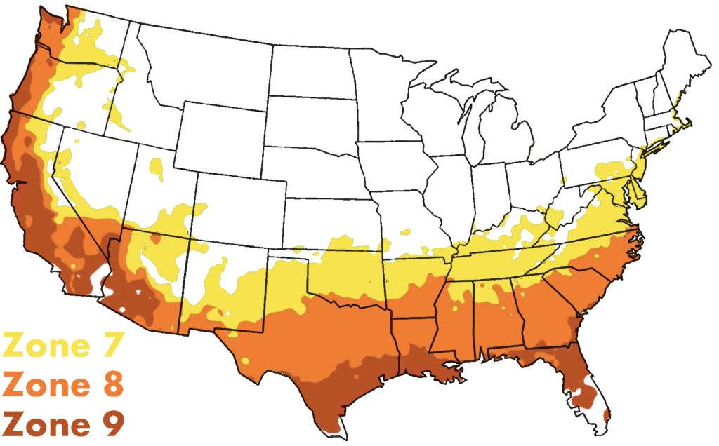 霍斯区7号到9号