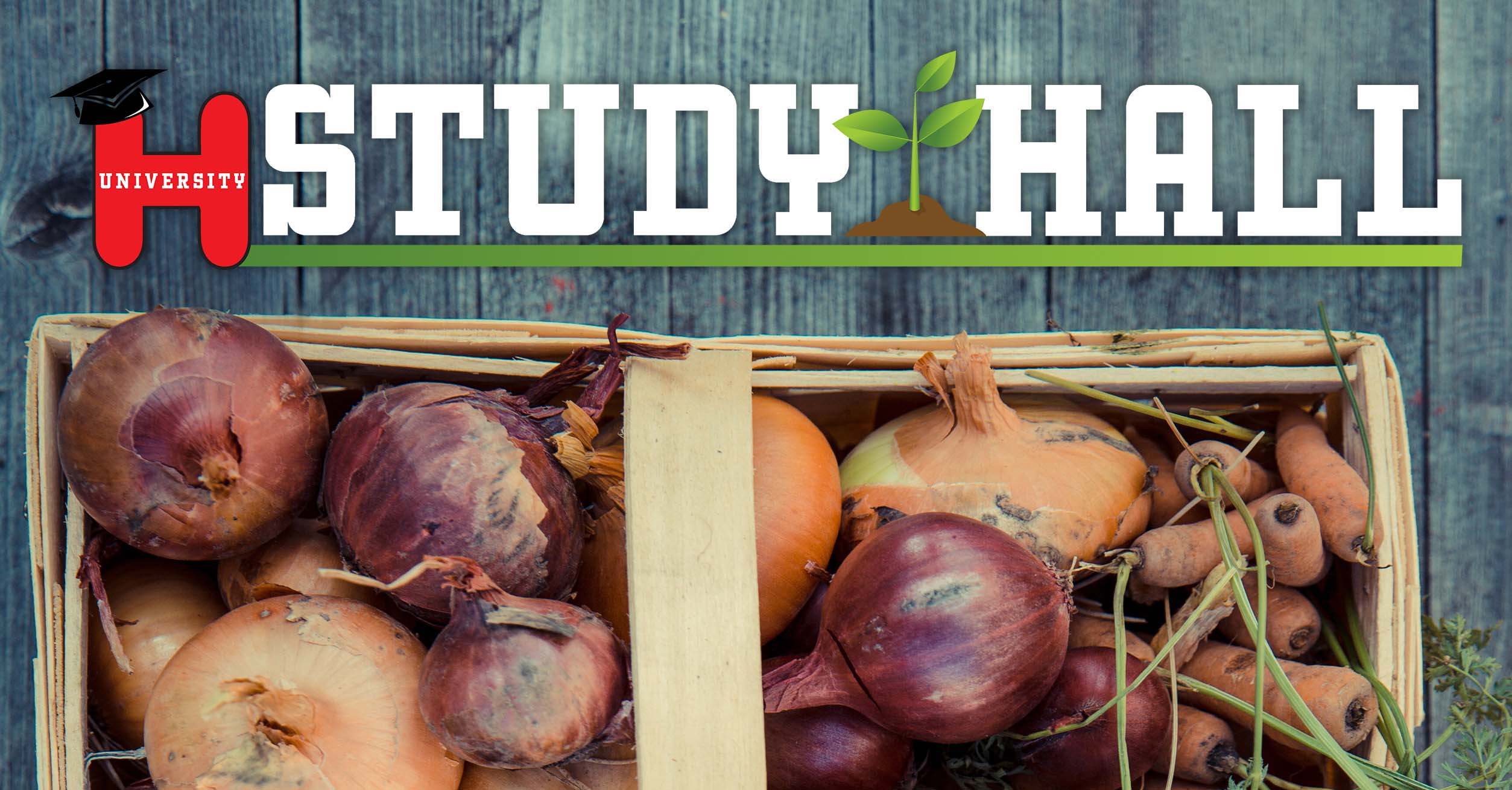 Onion-Study-Hall-Mobile