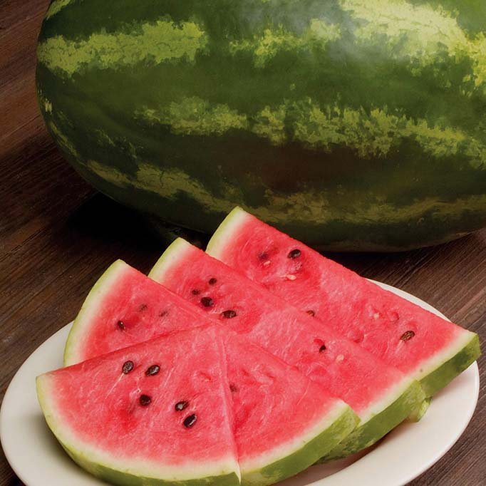 野餐西瓜