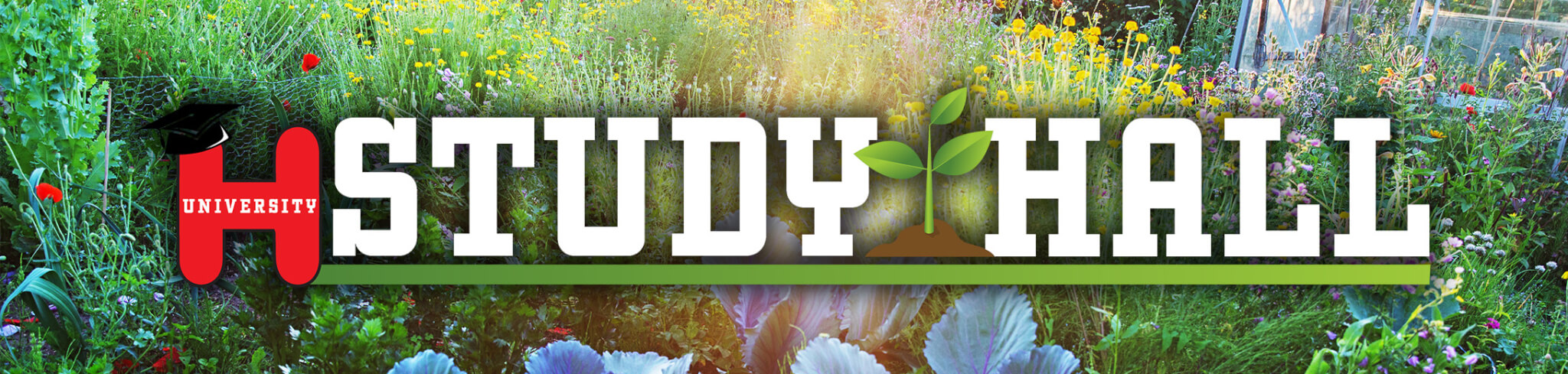 Study-Hall-Wildflowers-Desktop