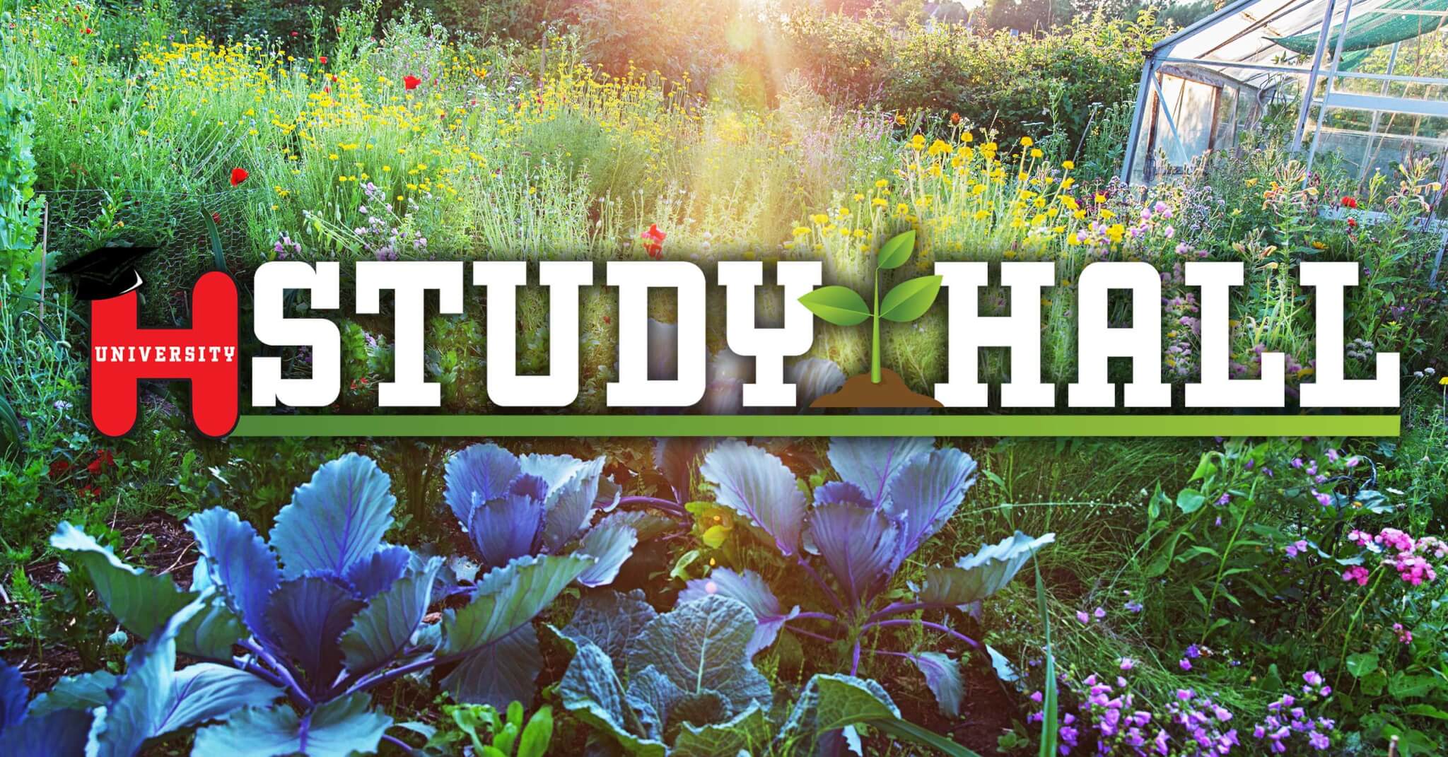 Study-Hall-Wildflowers-Mobile