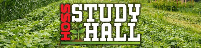 农作物旋转 -  desktop