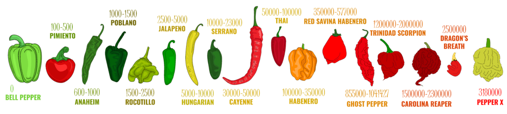 斯高维尔热量单位图
