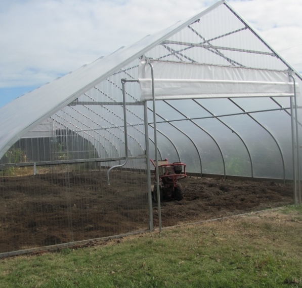 IMG_6537（800x600）