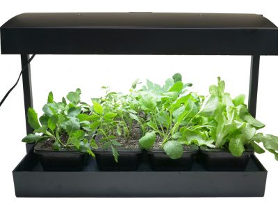 室内种子起始轻质套件