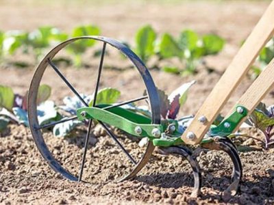 受欢迎的——004