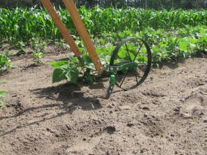 花园除草振荡锄头